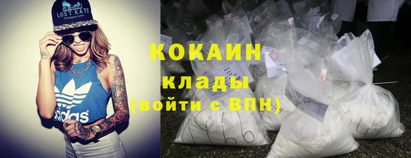 Альфа ПВП Гусев