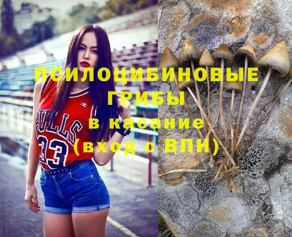 прущая мука Дмитров