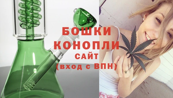 Альфа ПВП Гусев