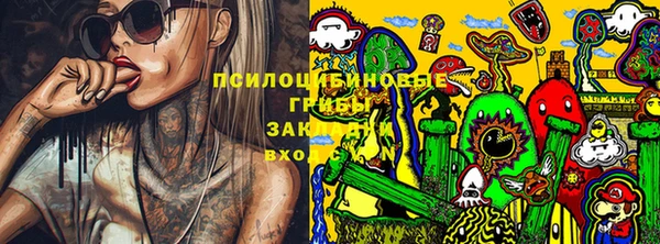 эйфоретик Дмитриев