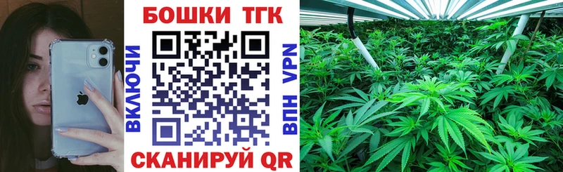 где продают   Вязники  Каннабис планчик 